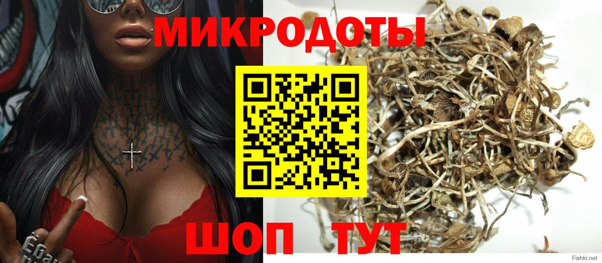 Псилоцибиновые грибы MAGIC MUSHROOMS  Вход с VPN  Арзамас 